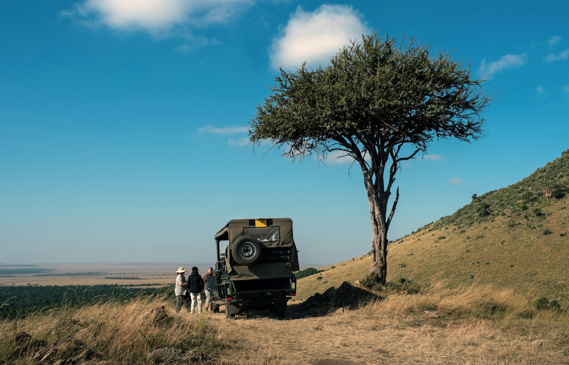 Masai Mara National Park Safari grey vehicle parked beside tree during daytime